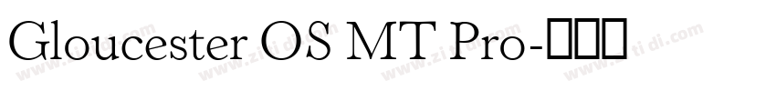 Gloucester OS MT Pro字体转换